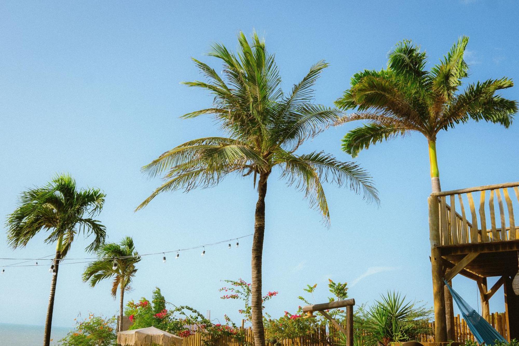 Hurricane Jeri Jericoacoara Extérieur photo